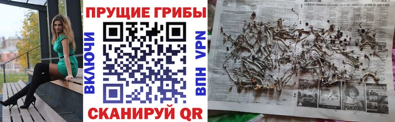 Псилоцибиновые грибы Psilocybine cubensis  купить наркотики цена  shop телеграм  Темников 